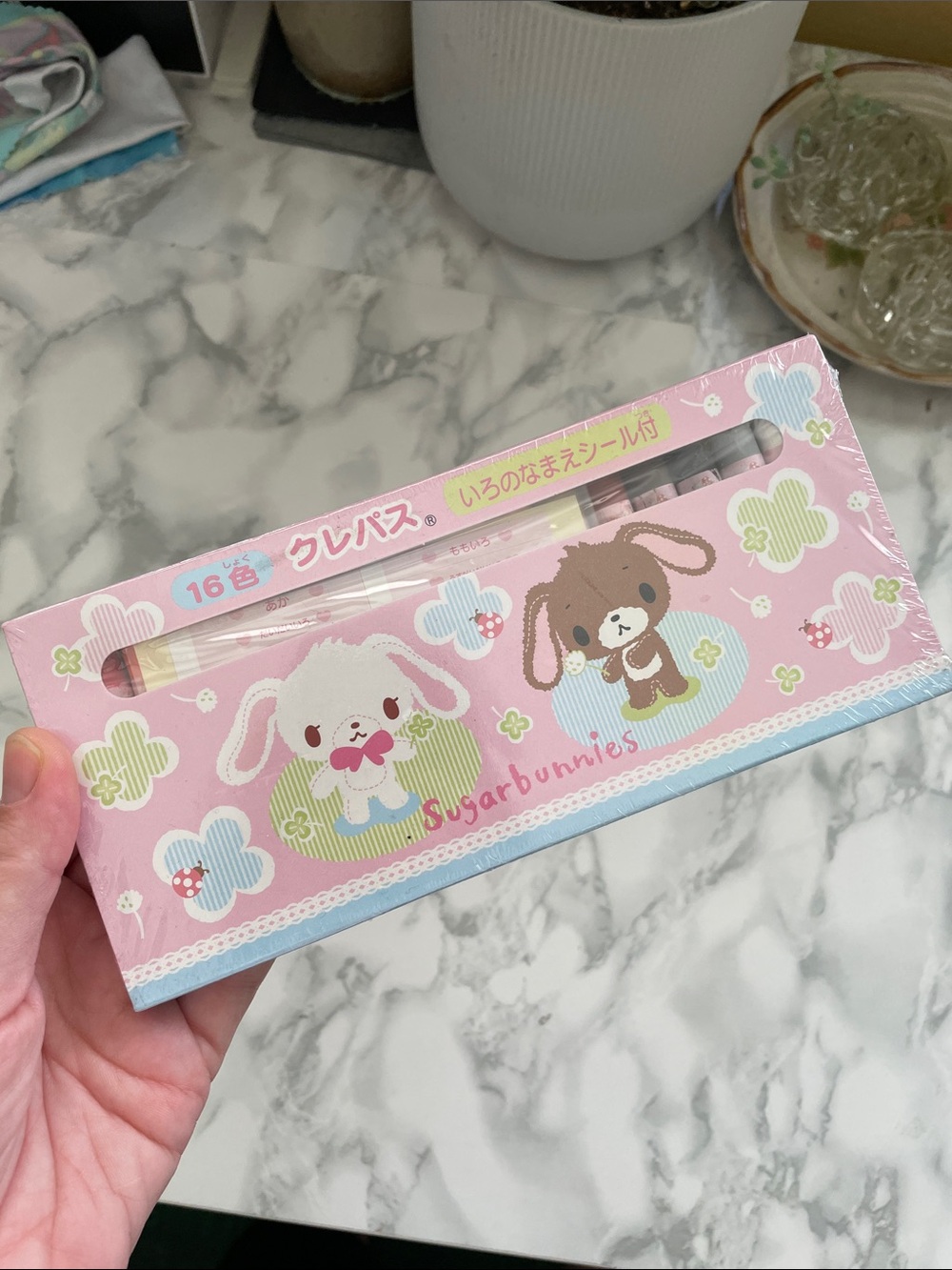 Sanrio Sugarbunnies Shirousa Kurousa - oil pastel art set